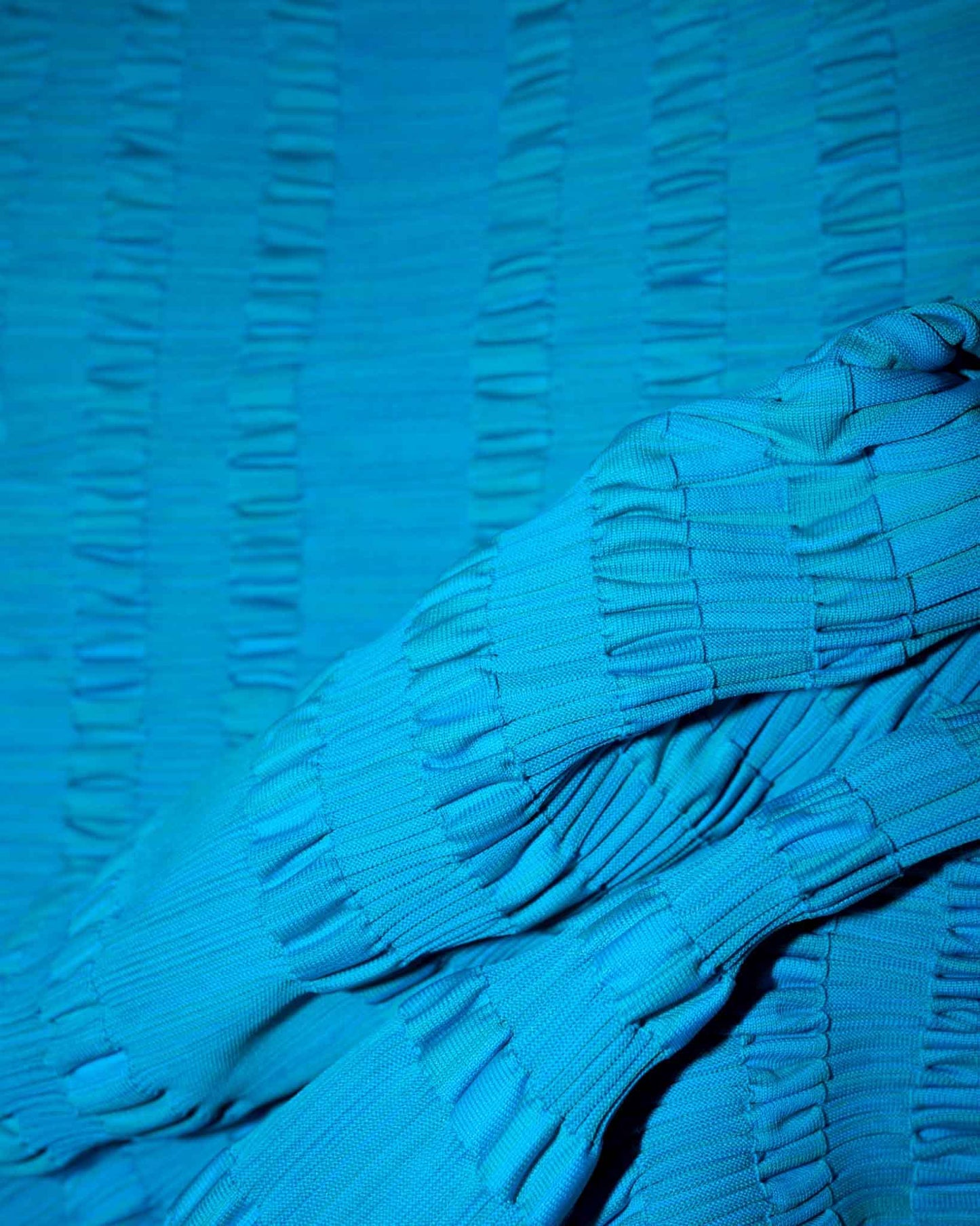 DMJK_002_#01 BUTTERFLY SWIM IN THE SEA OF PETAL