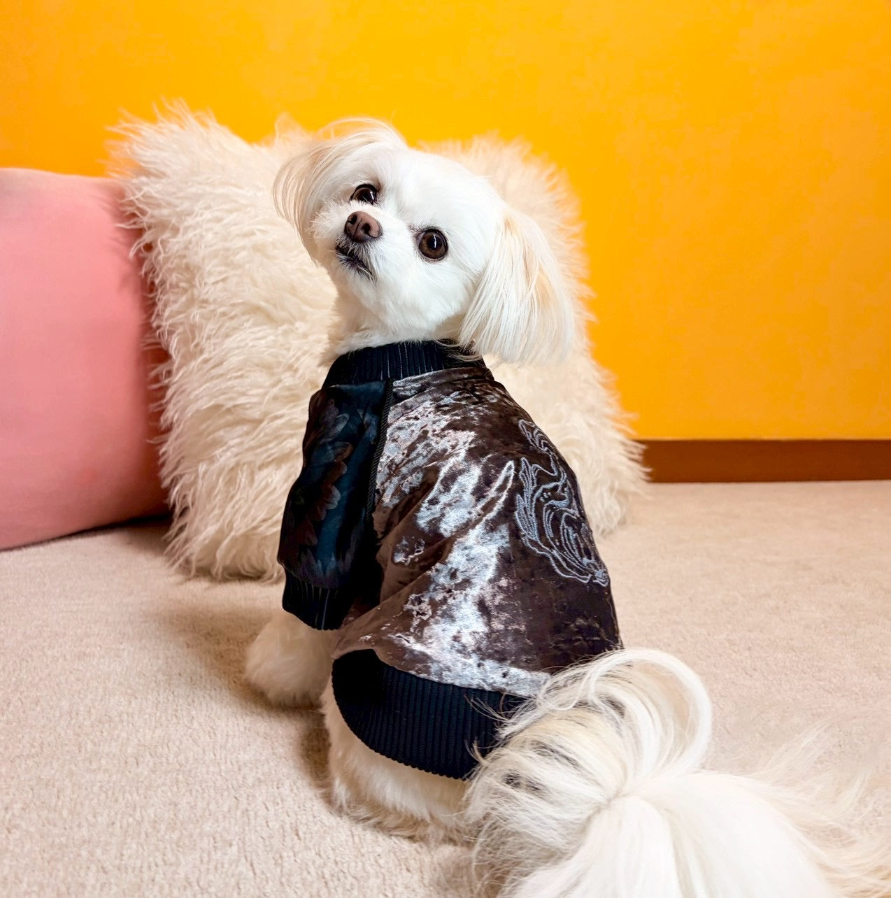 犬服　ダイヤモンド　着物　ご確認 犬服 ダイヤモンド 着物 ご確認 DIAMOND JACKET for DOG