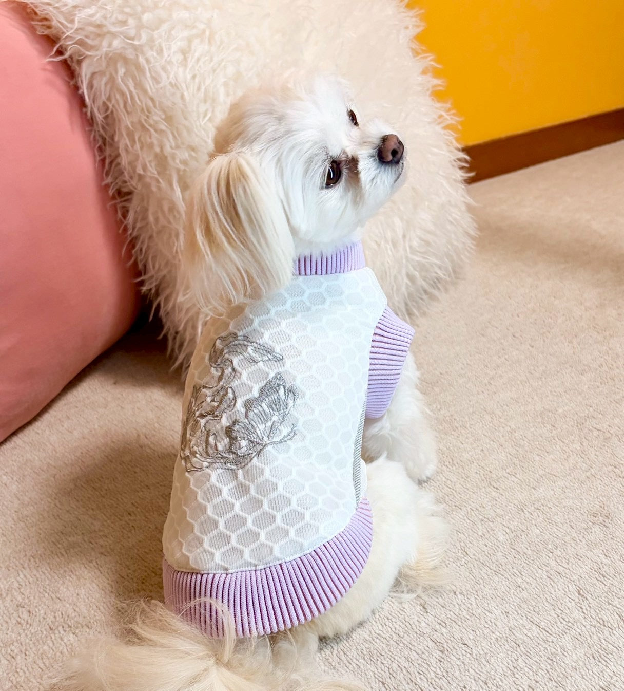 HONEYCOMB JACKET for DOG